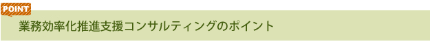 業務効率化推進支援のポイント