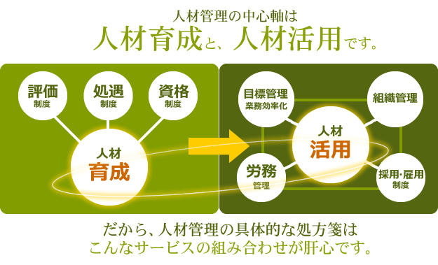 評価、処遇、資格制度、人材育成、目標管理、組織管理、採用、雇用制度、人材活用